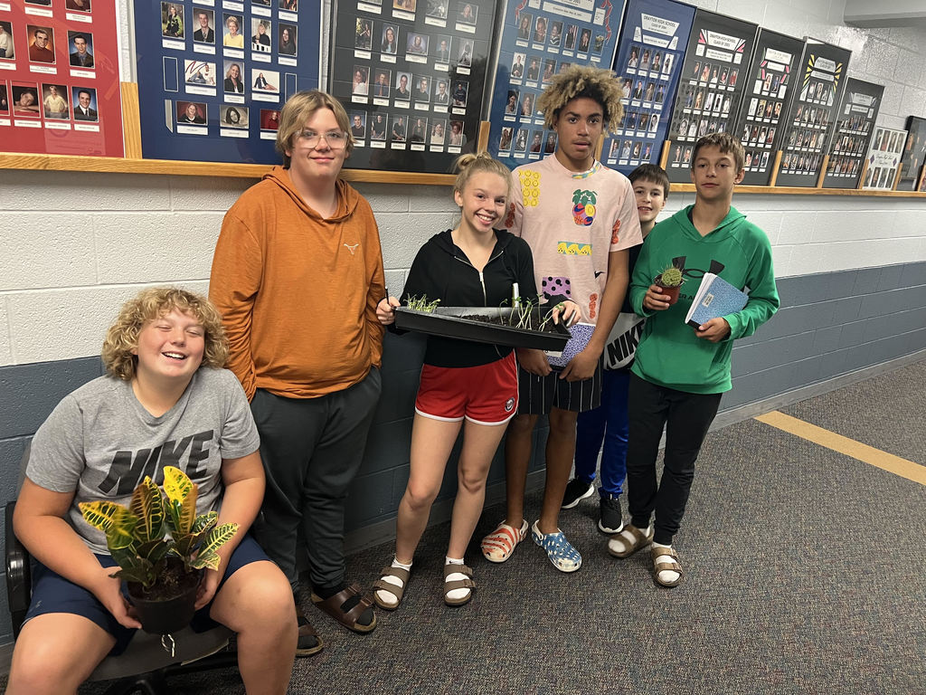 Live Feed Drayton Public School 19