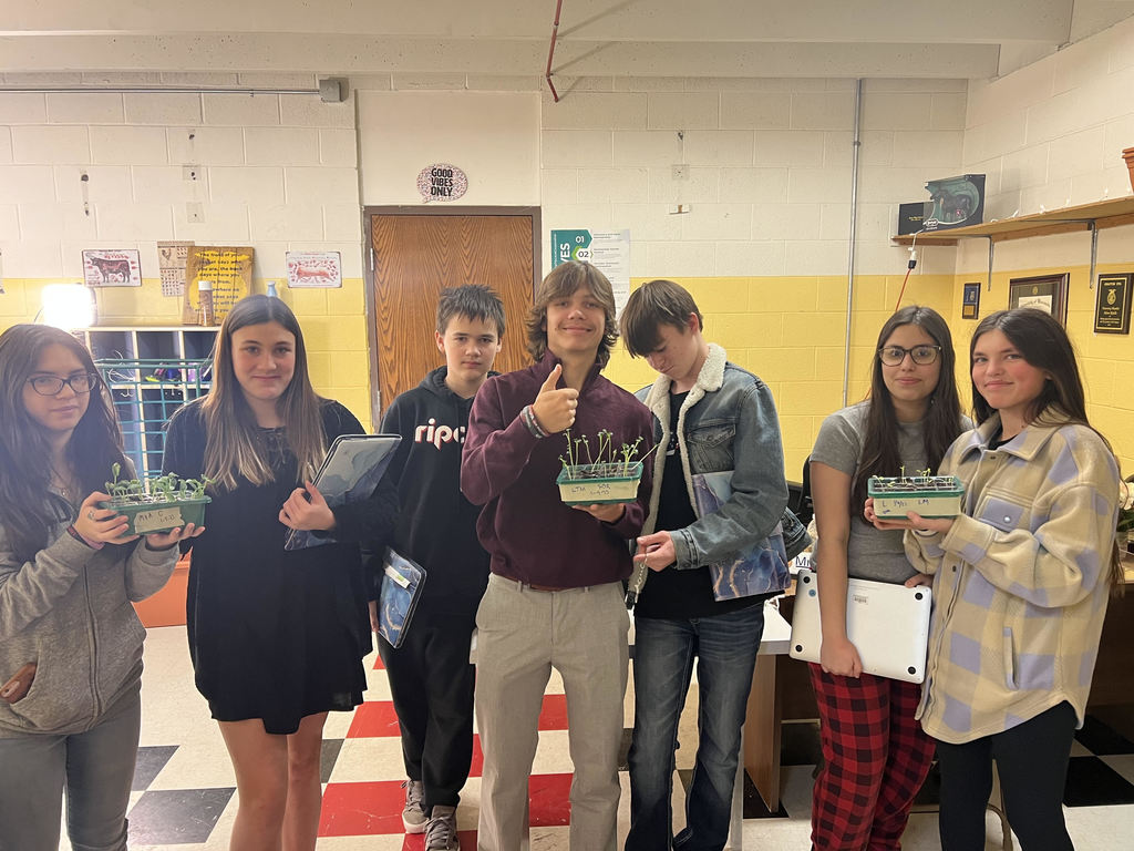 Live Feed Drayton Public School 19